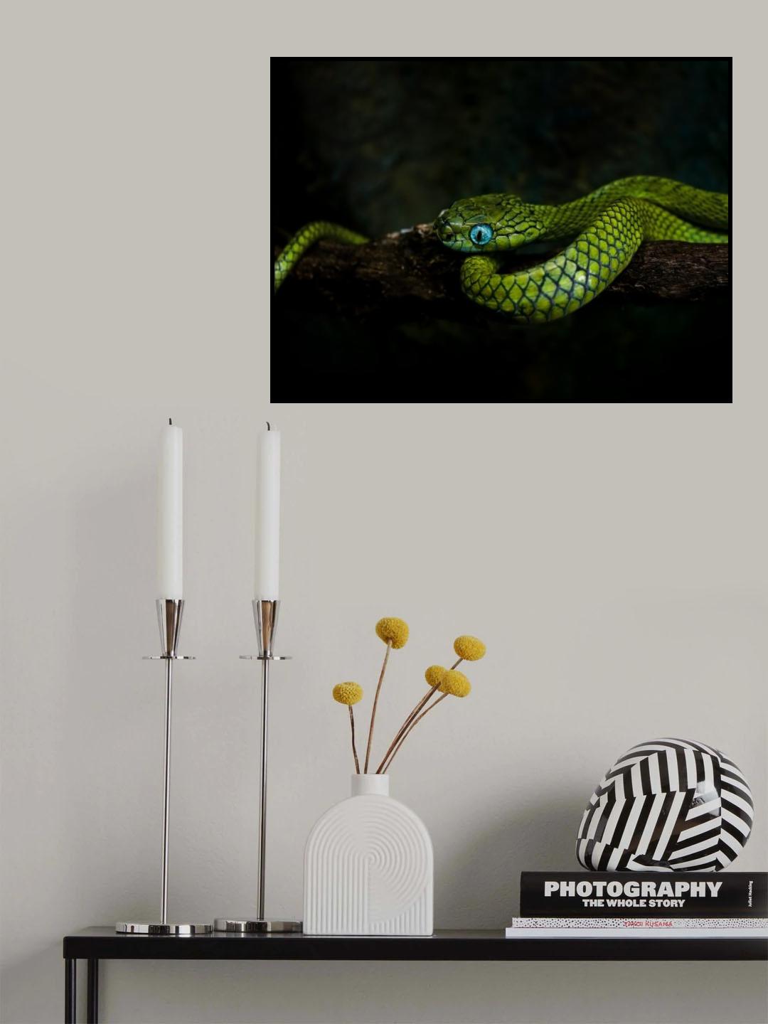 Meandering Poster och Canvastavla
