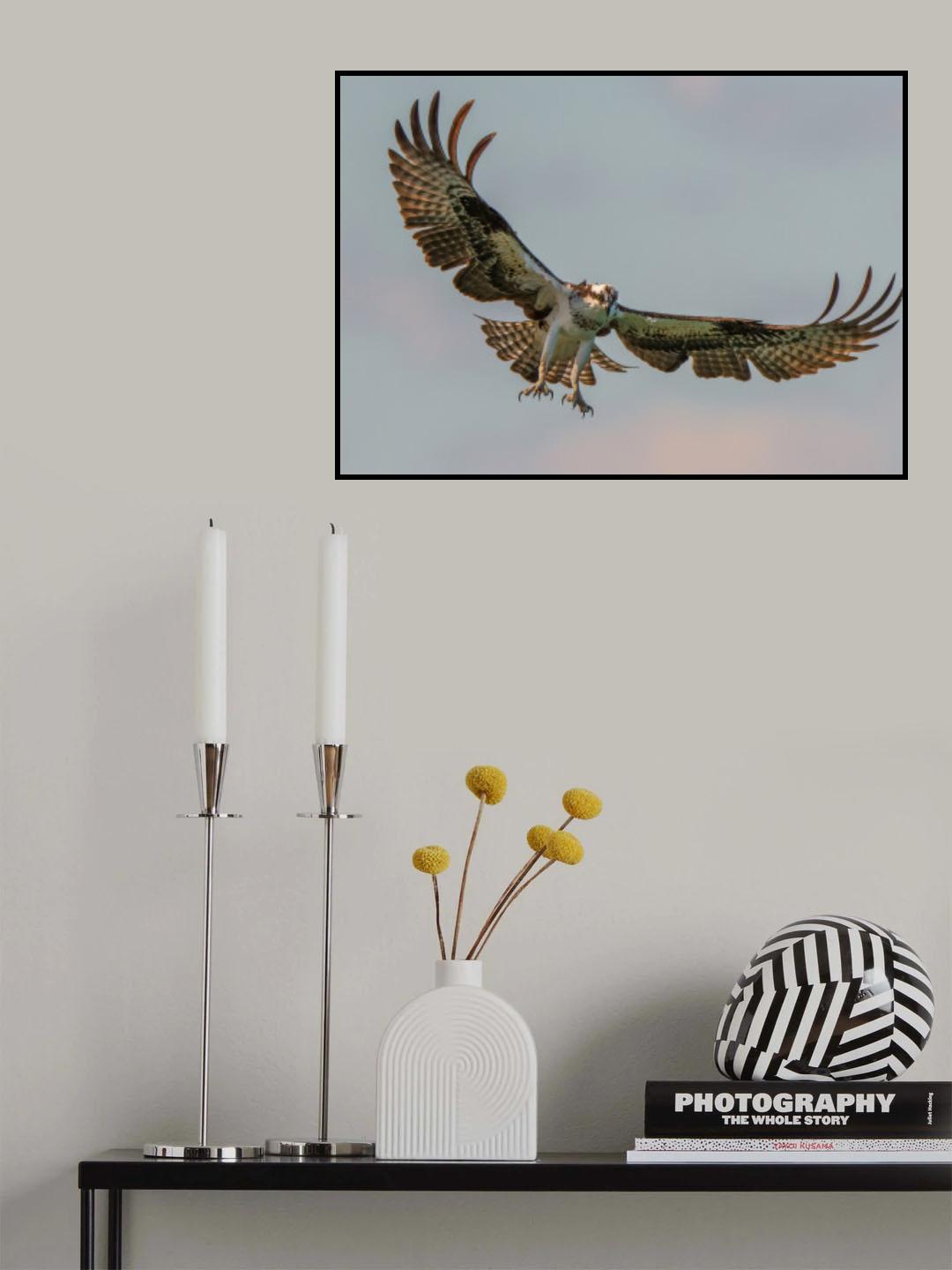 Aim low Poster och Canvastavla