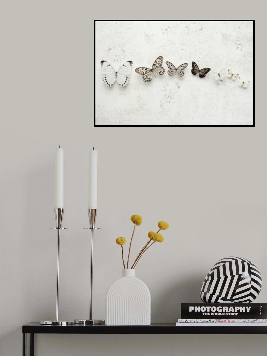 Dancing Speckled Butterflies Poster och Canvastavla