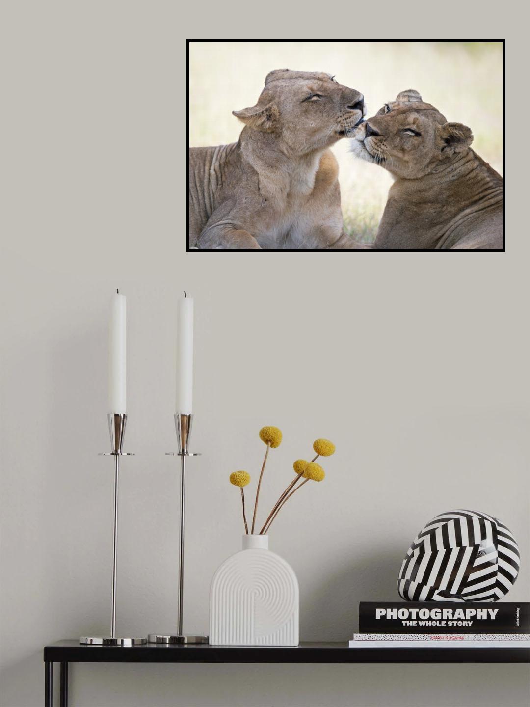Wild tenderness Poster och Canvastavla