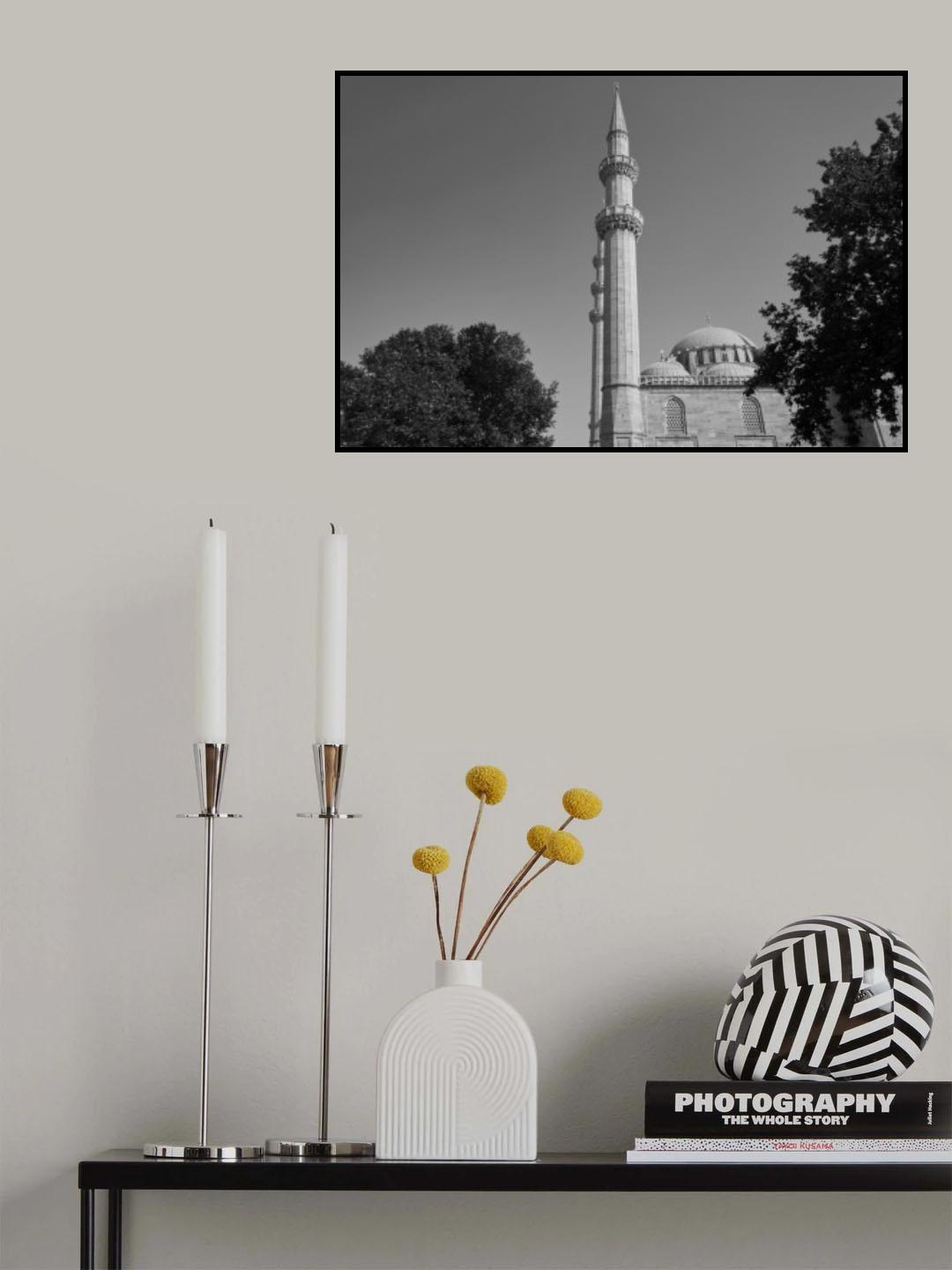 historical mosque from Istanbul, Turkey Poster och Canvastavla
