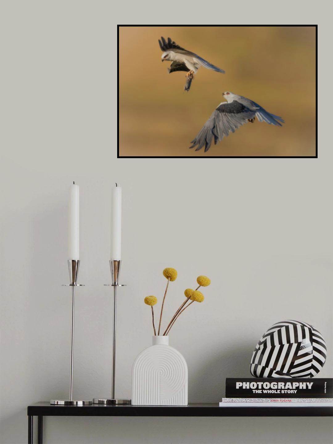 Chasing food Poster och Canvastavla