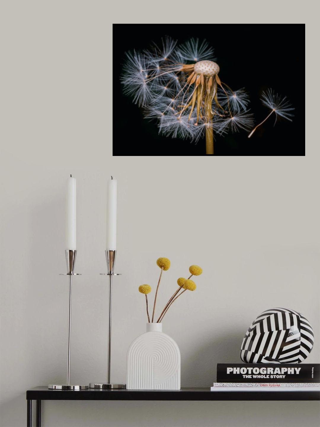 White beauty Poster och Canvastavla