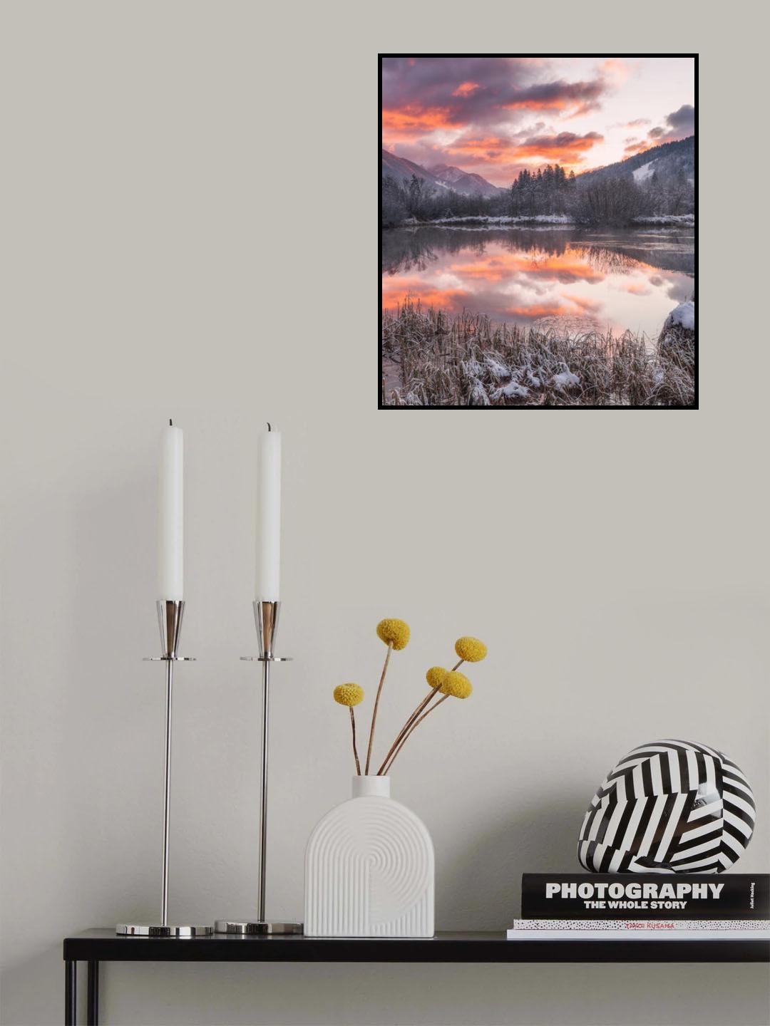 Zelenci springs Poster och Canvastavla