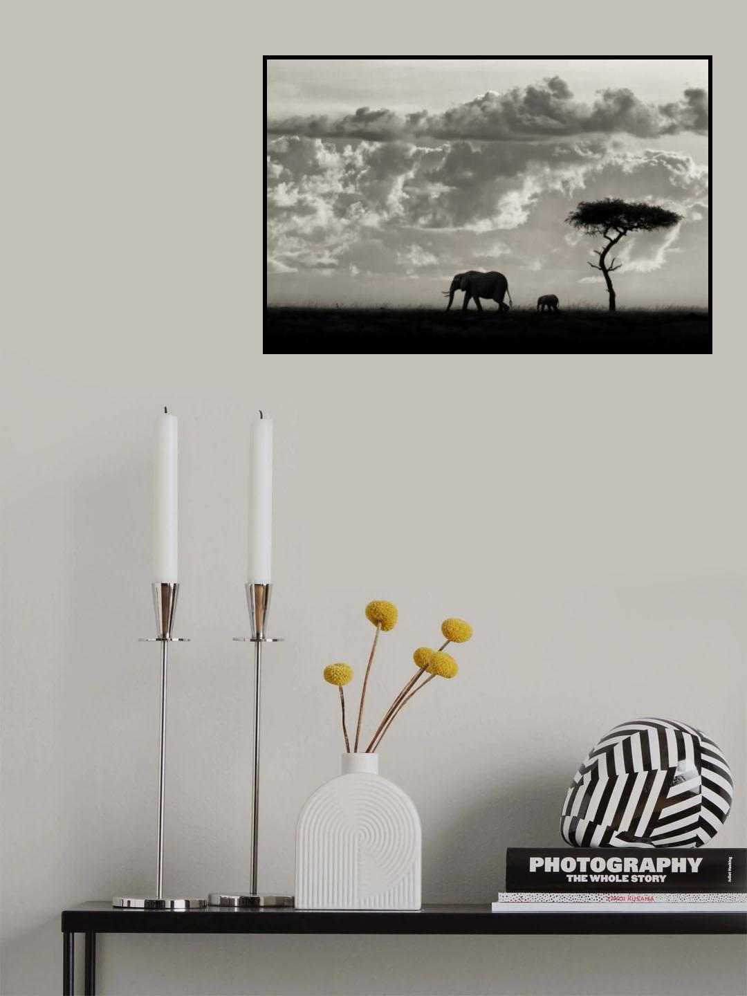 Silhouettes of Mara Poster och Canvastavla