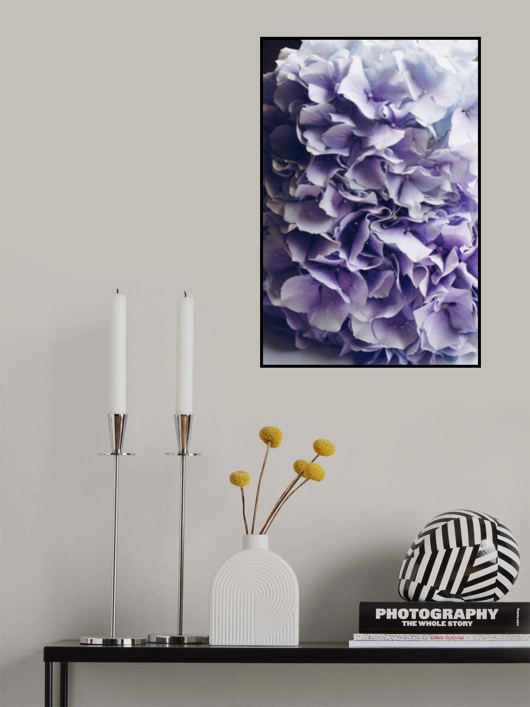 Hydrangea Happiness Poster och Canvastavla