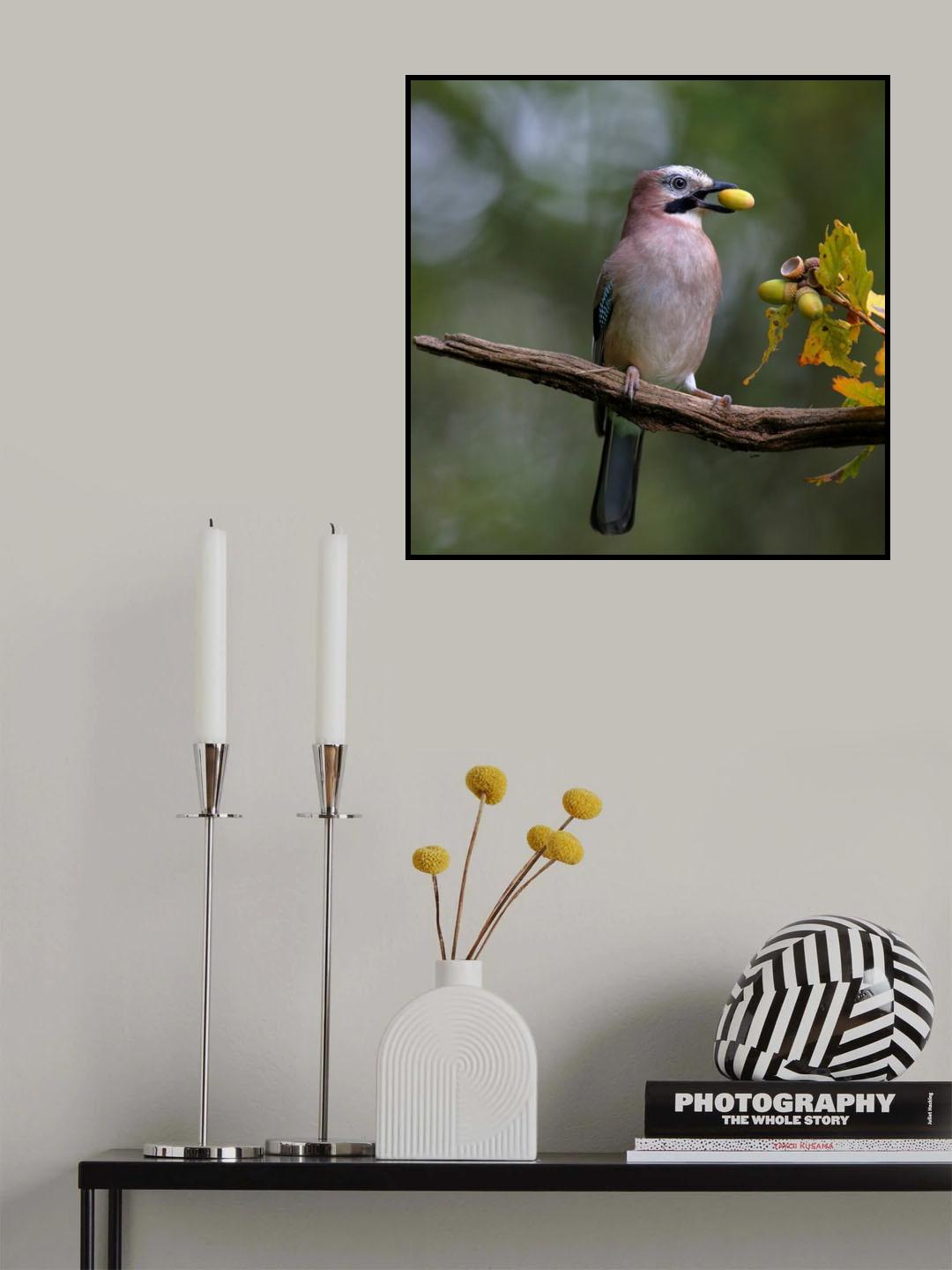 Le glandeur Poster och Canvastavla