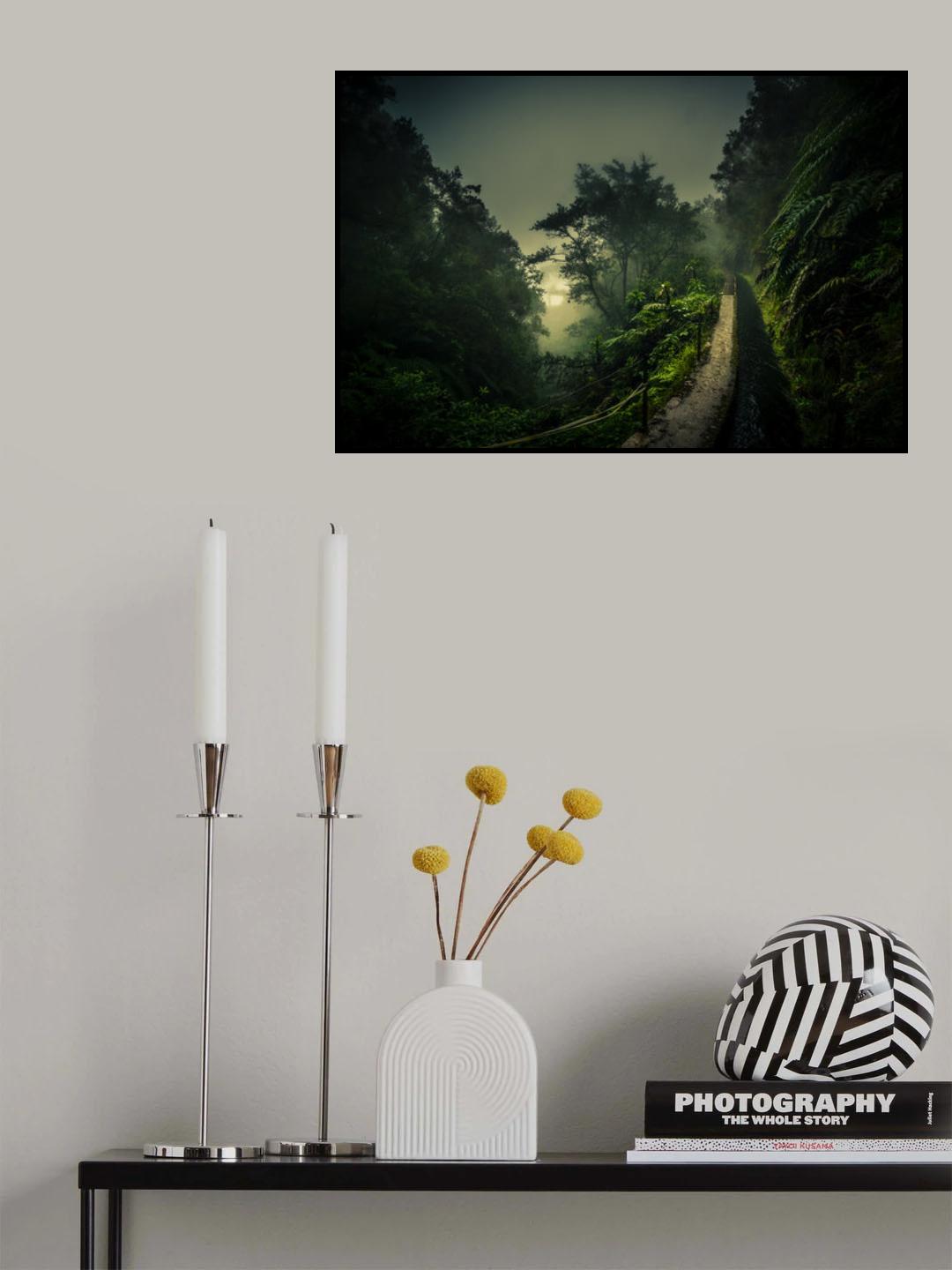 Levada Walk Poster och Canvastavla
