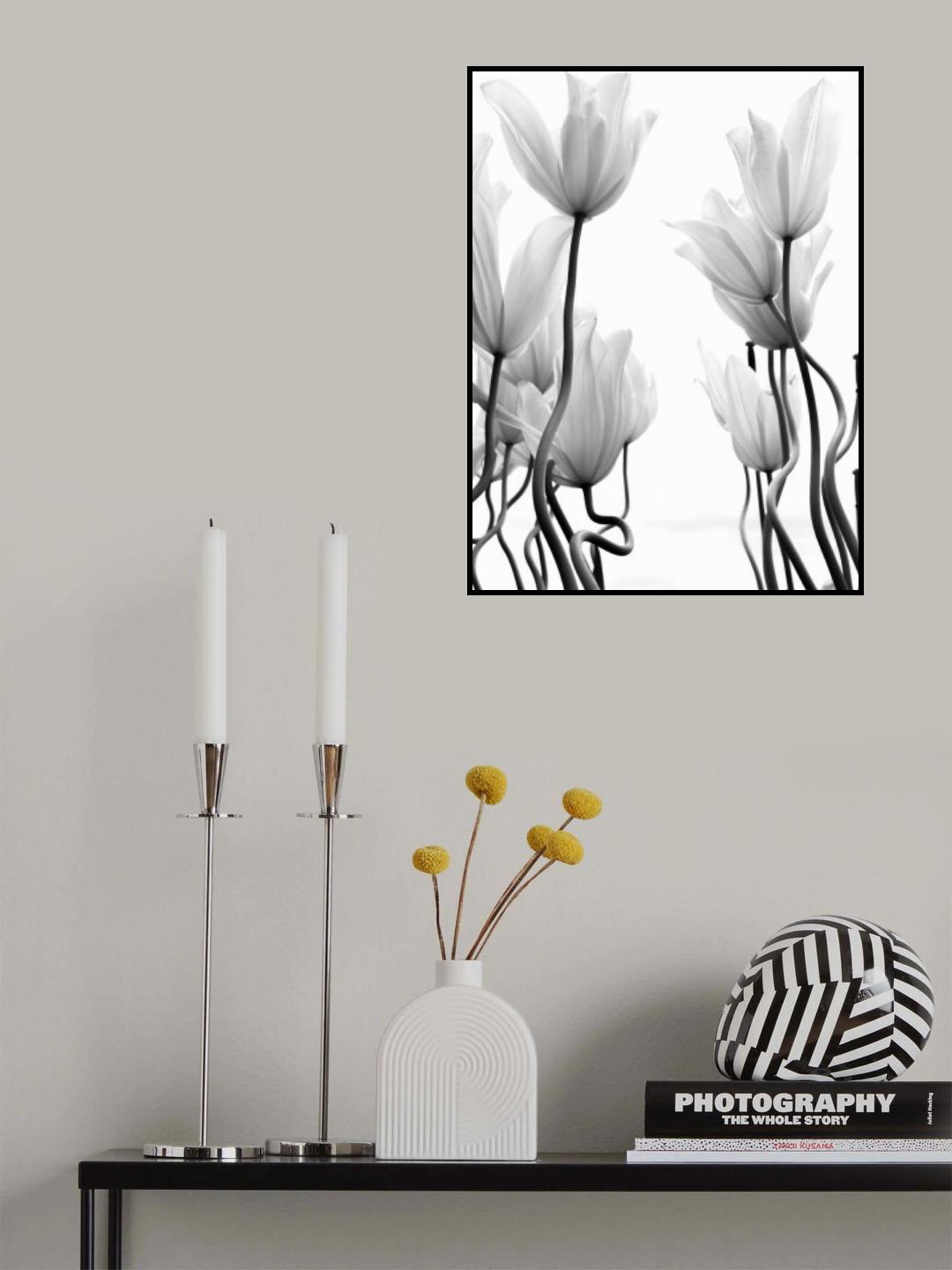 Tulips Poster och Canvastavla