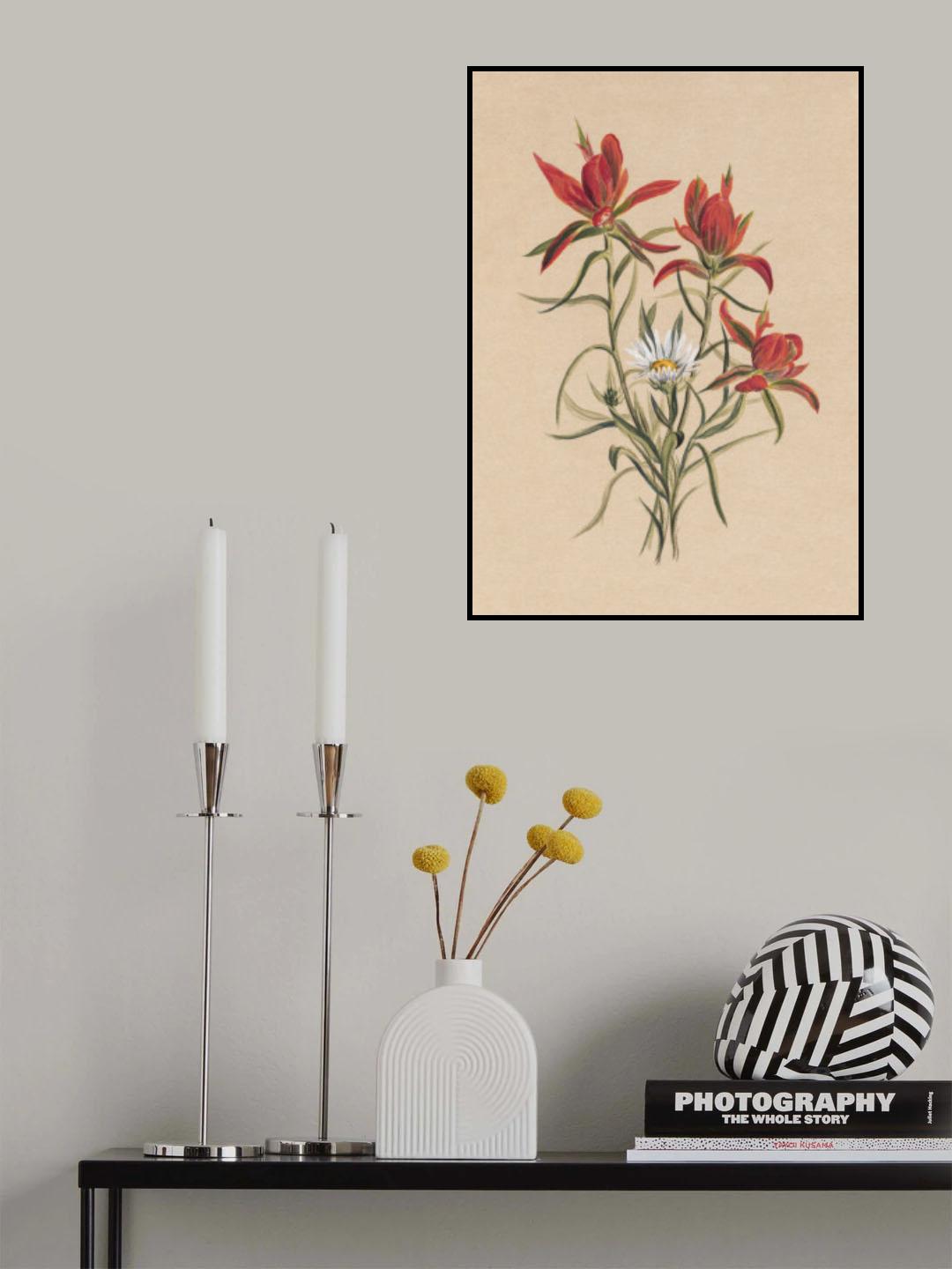 Indian Paintbrush (1883) Poster och Canvastavla