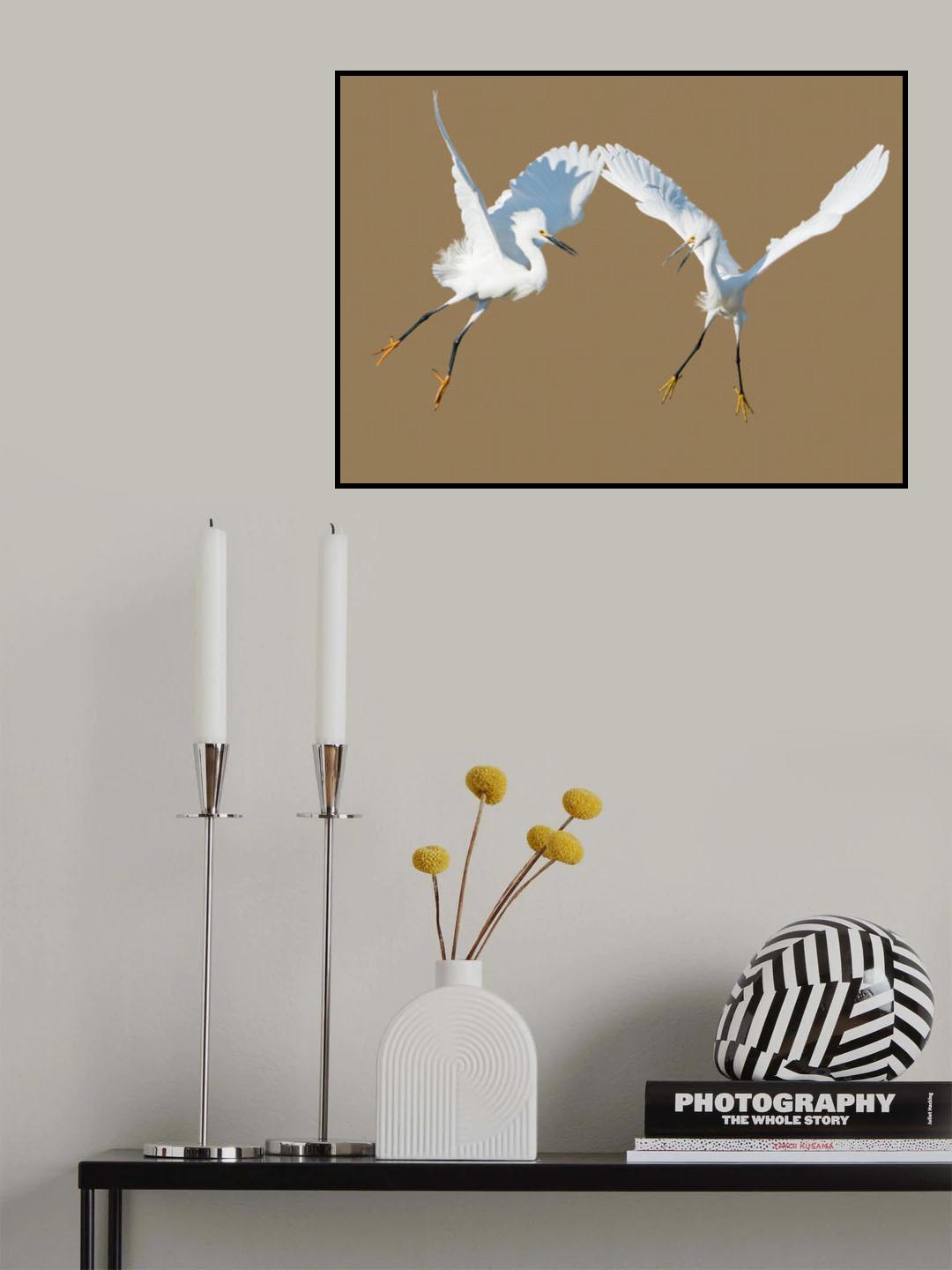 Wings Poster och Canvastavla