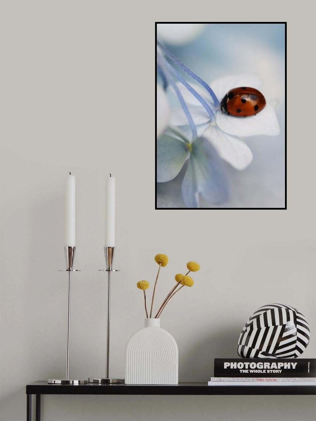 Ladybug Poster och Canvastavla