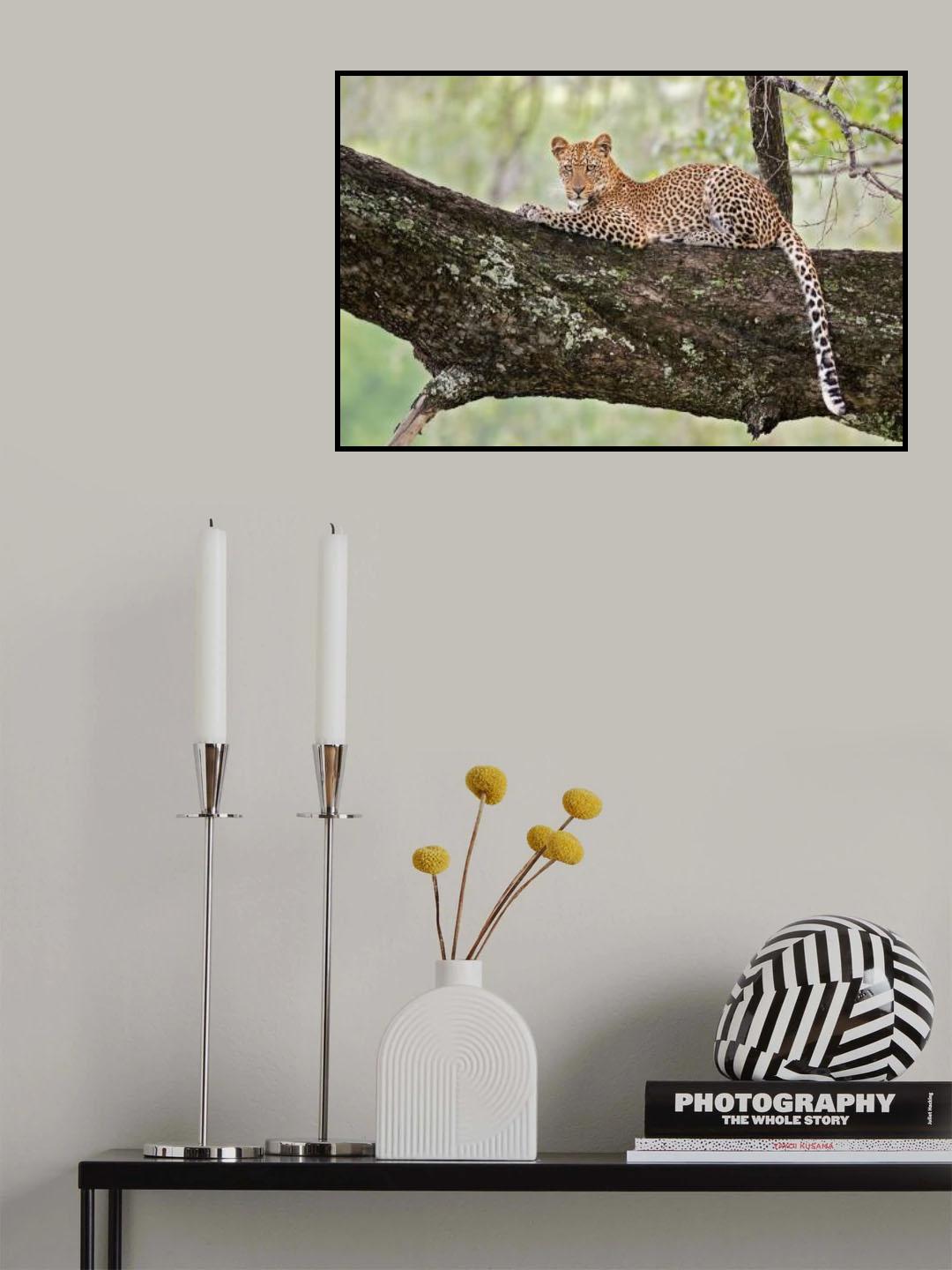 Young, wild and free Poster och Canvastavla