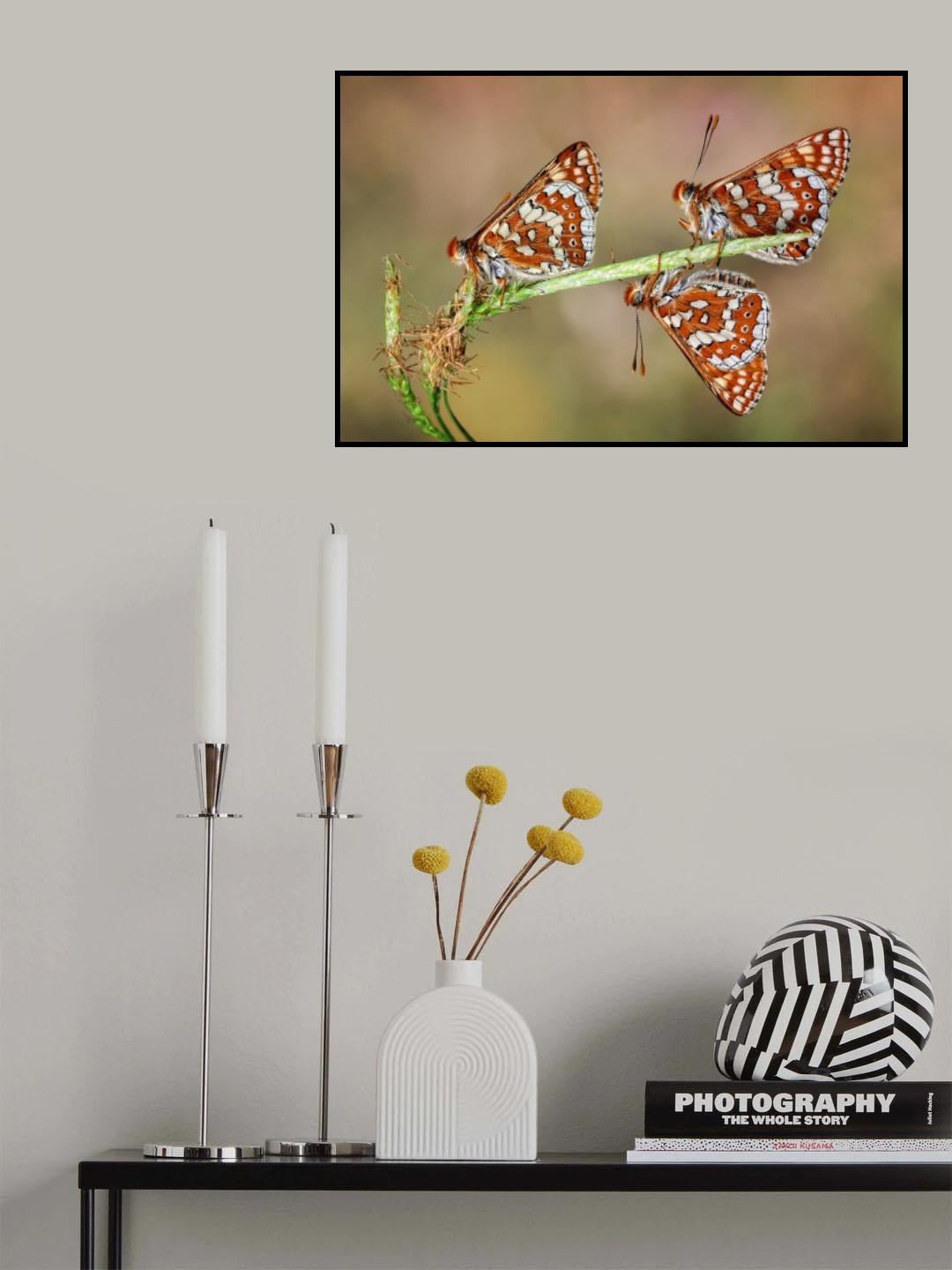 Trio Poster och Canvastavla