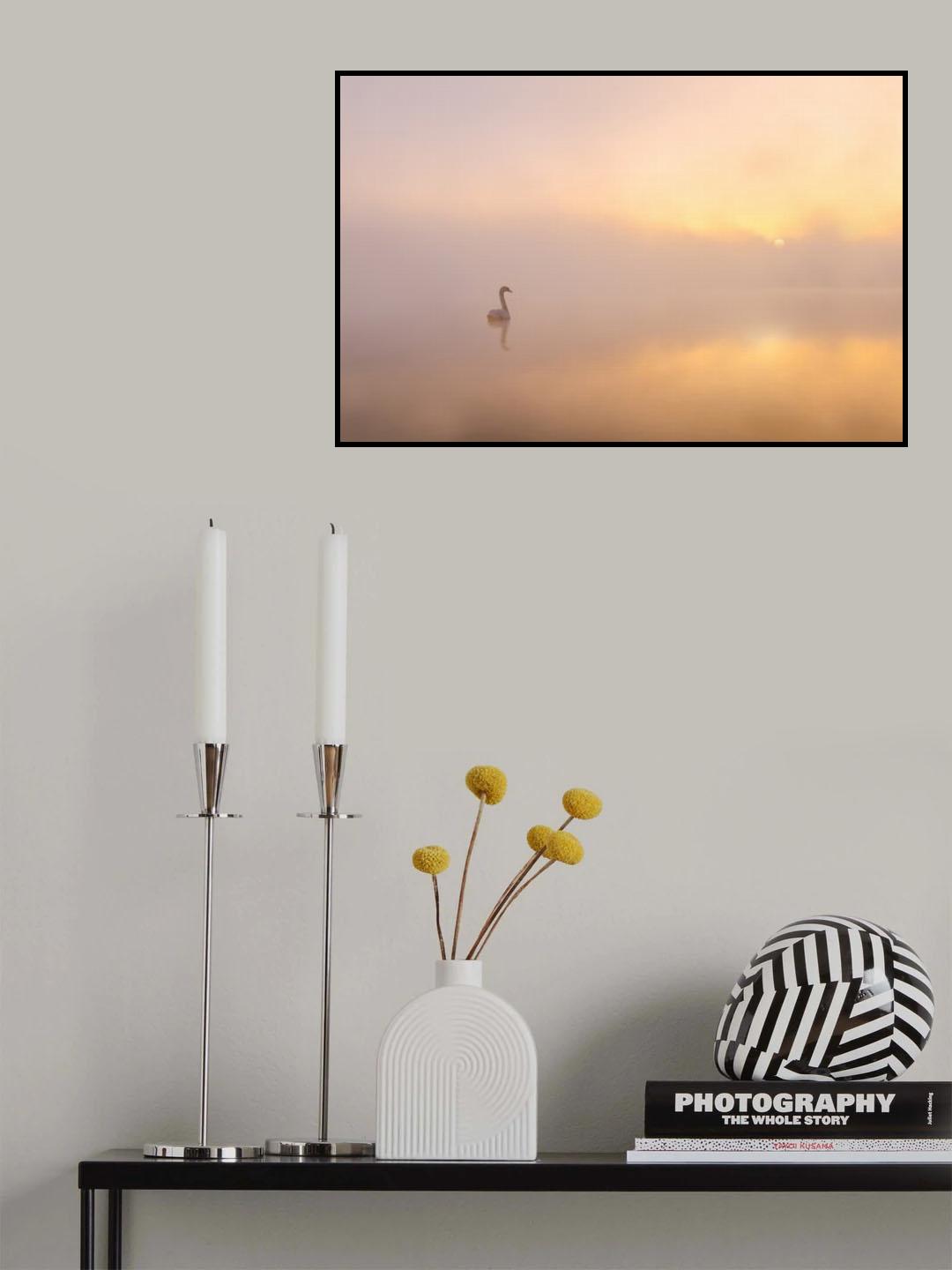 Misty morning Poster och Canvastavla