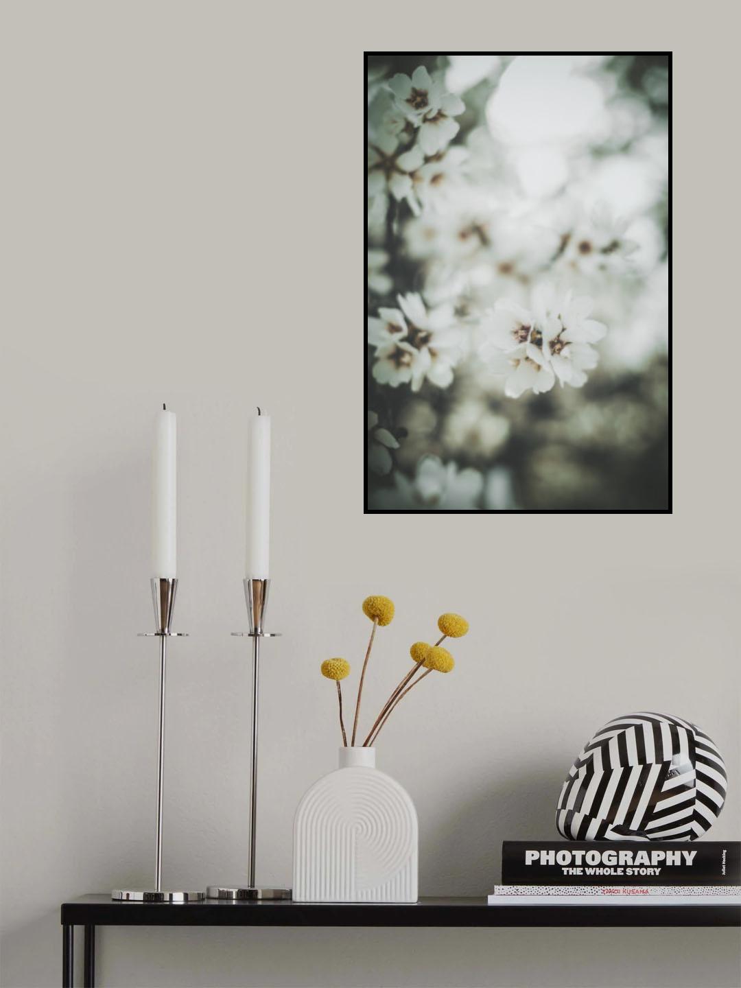 Almond Blossoms Poster och Canvastavla