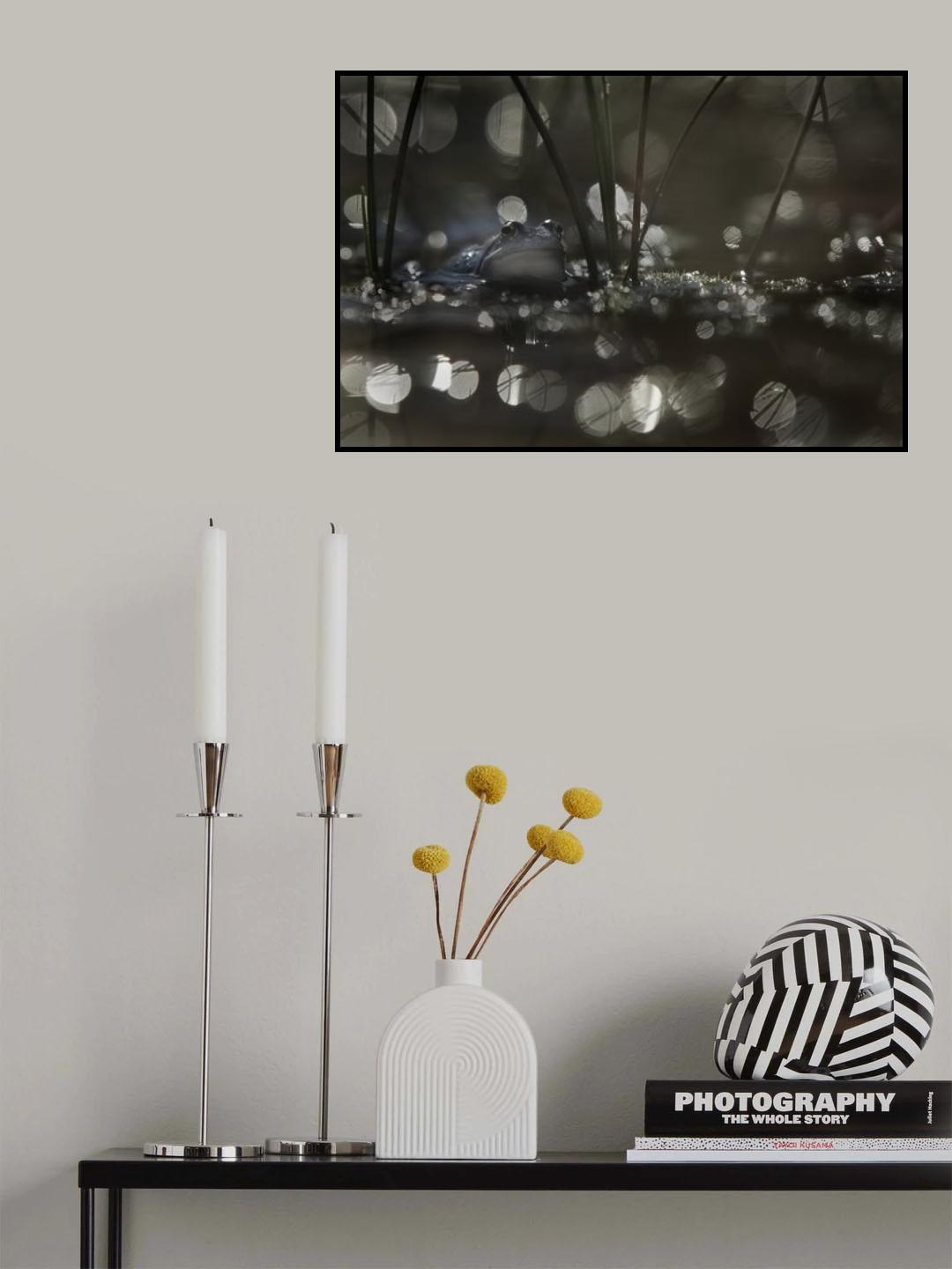 Moor frog Poster och Canvastavla