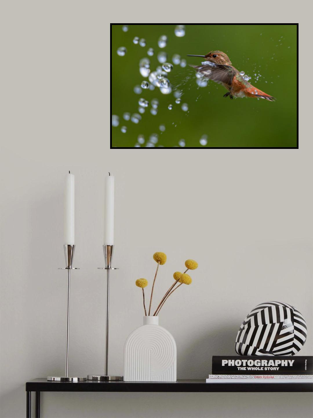 Playing water Poster och Canvastavla