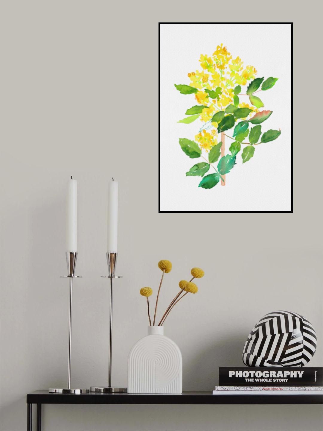 Oregon grape or Mahonia aquifolium botanical painting Poster och Canvastavla