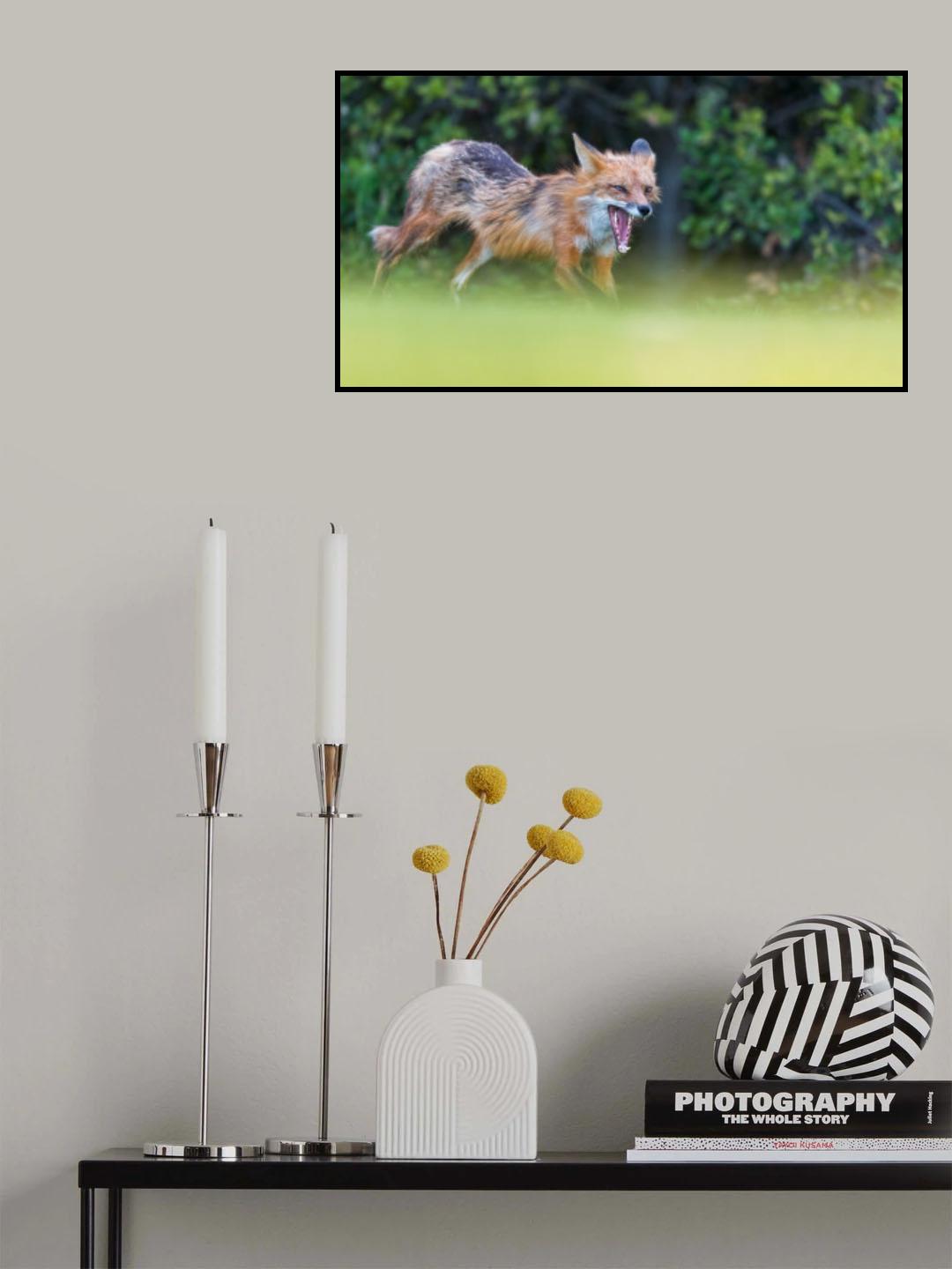 FOX Poster och Canvastavla