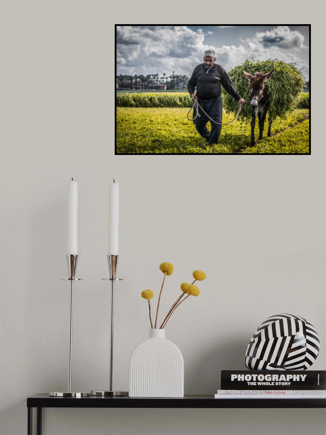 into the fields Poster och Canvastavla