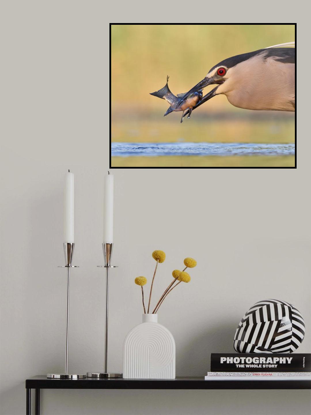 A Fish! Poster och Canvastavla