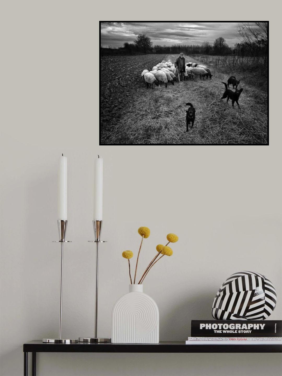 Poster och Canvastavla