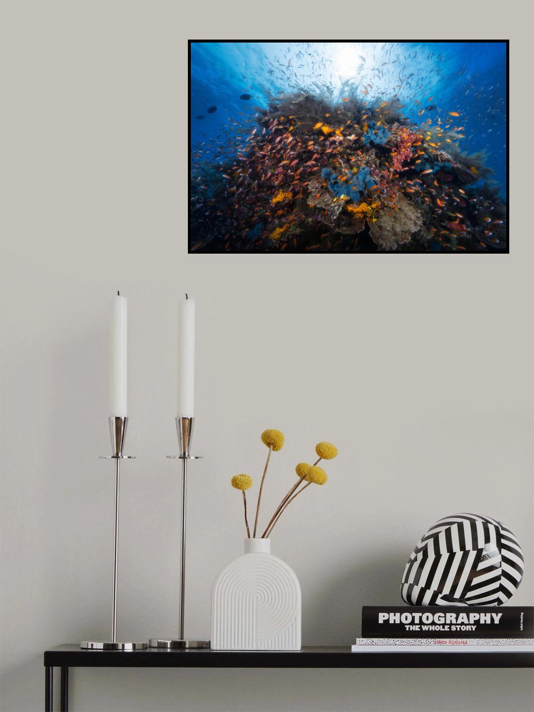 Life explosion Poster och Canvastavla