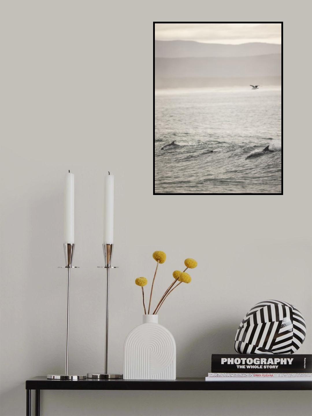 Dolphin Poster och Canvastavla