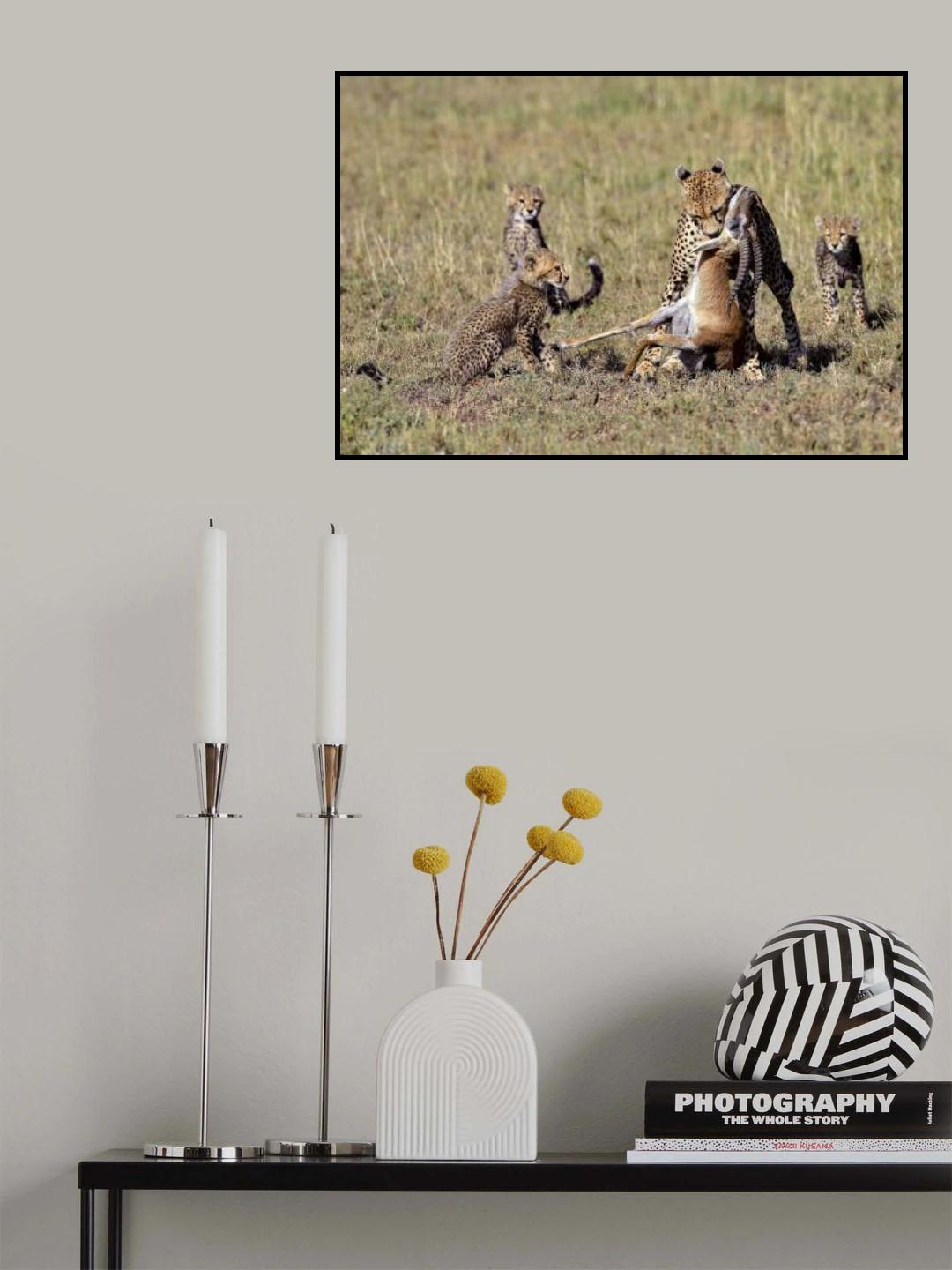 Closed hunting Poster och Canvastavla