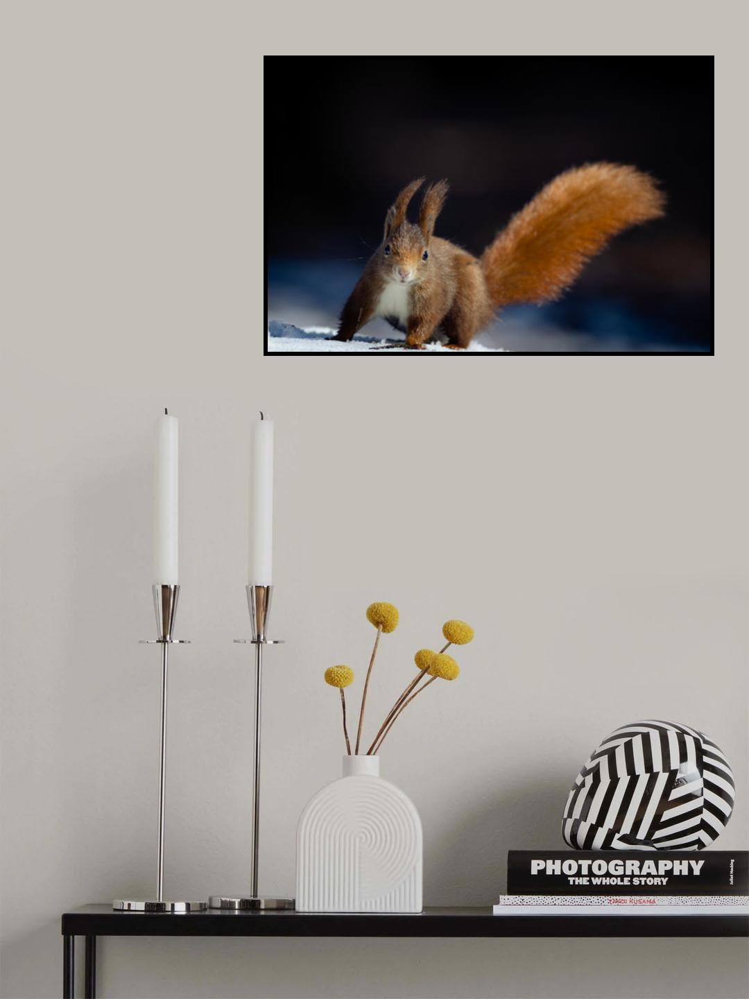 Dynamic Squirrel Poster och Canvastavla