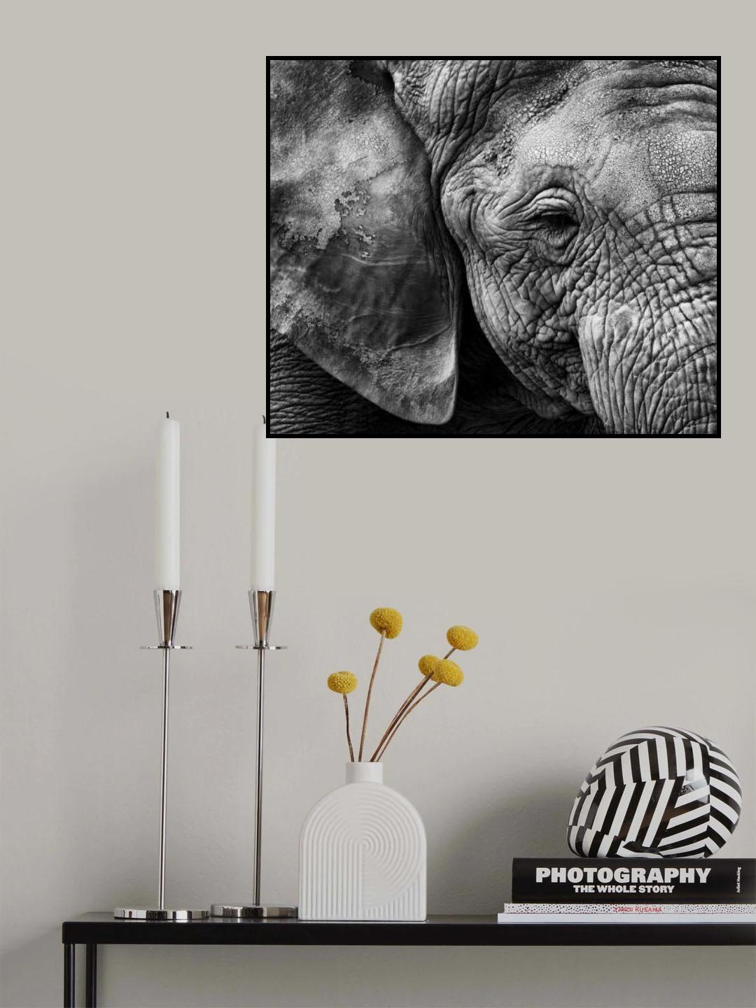 Elephant skin Poster och Canvastavla