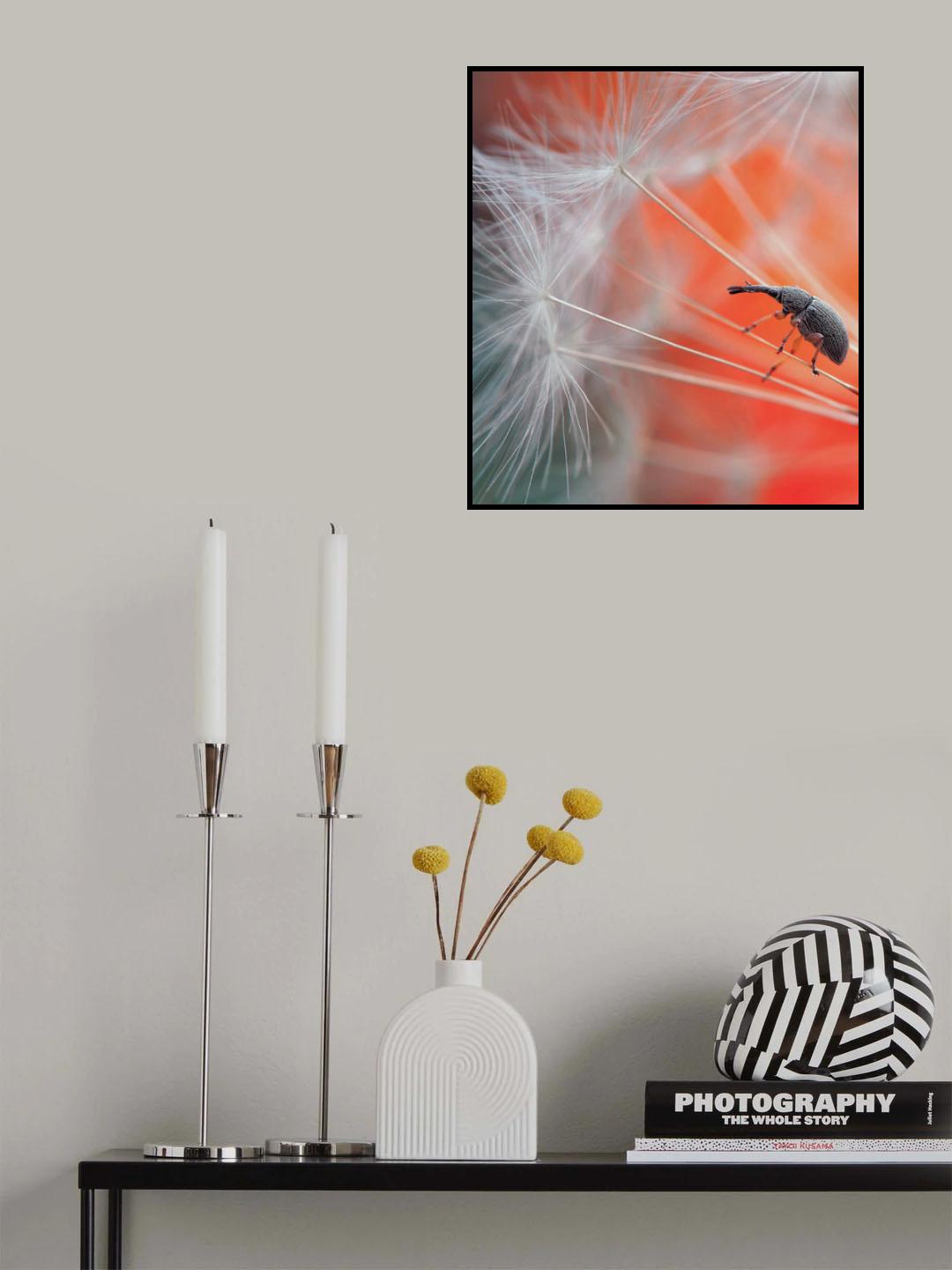 Parachutist... Poster och Canvastavla