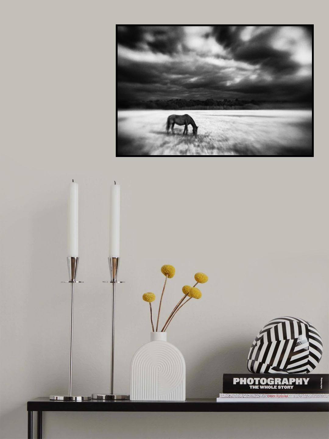 Poster och Canvastavla
