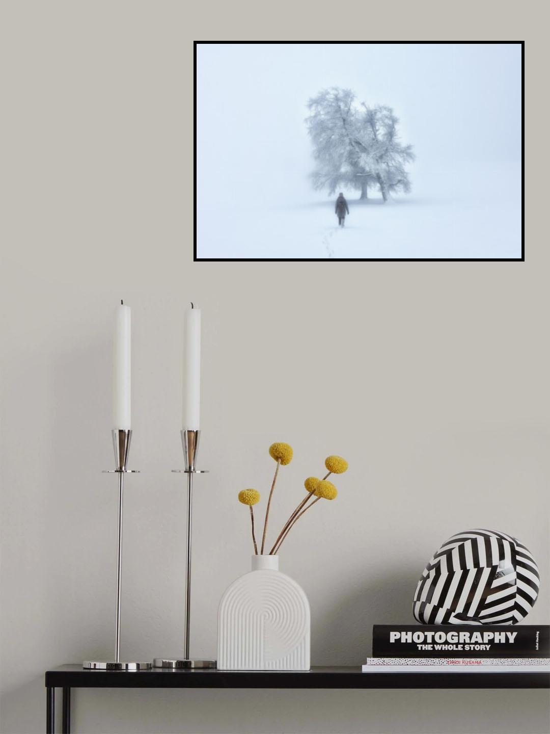 Foggy winterland Poster och Canvastavla