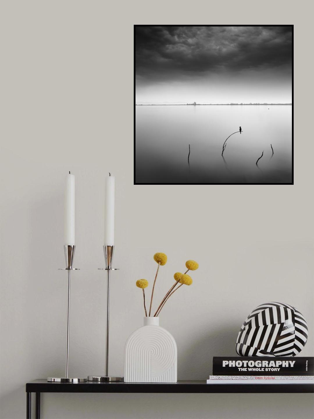 Blackbird Poster och Canvastavla