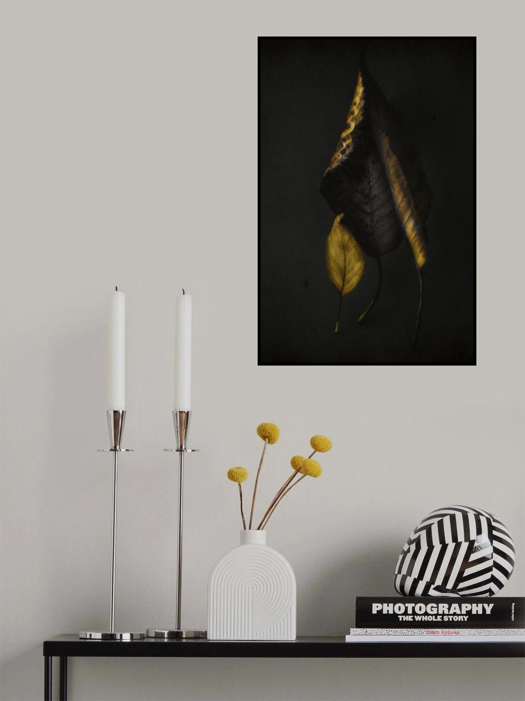 Autumn leaves Poster och Canvastavla