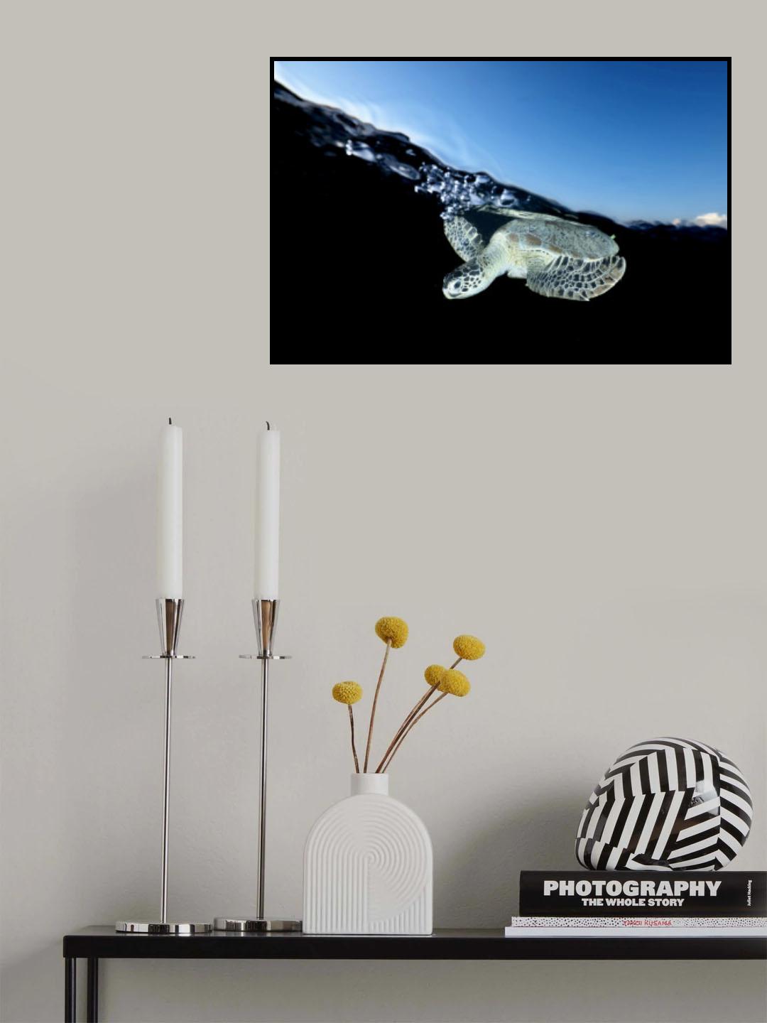 Surface Poster och Canvastavla