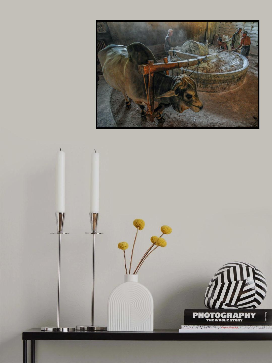 Mutual Cooperation Poster och Canvastavla