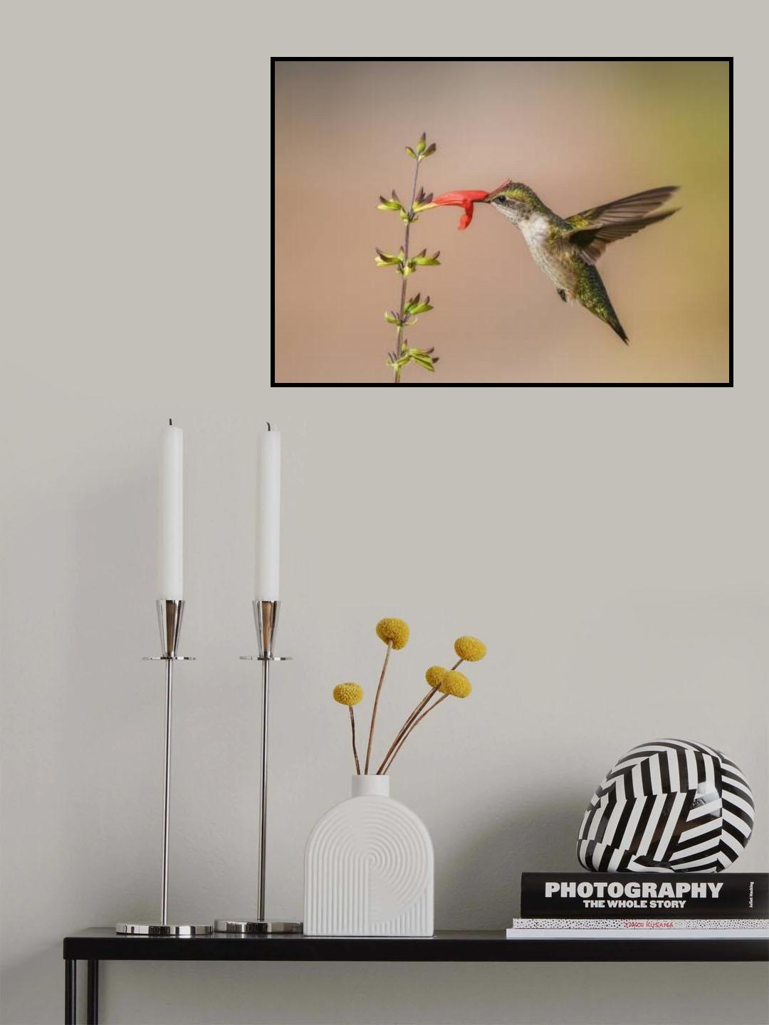 Juvenile Poster och Canvastavla
