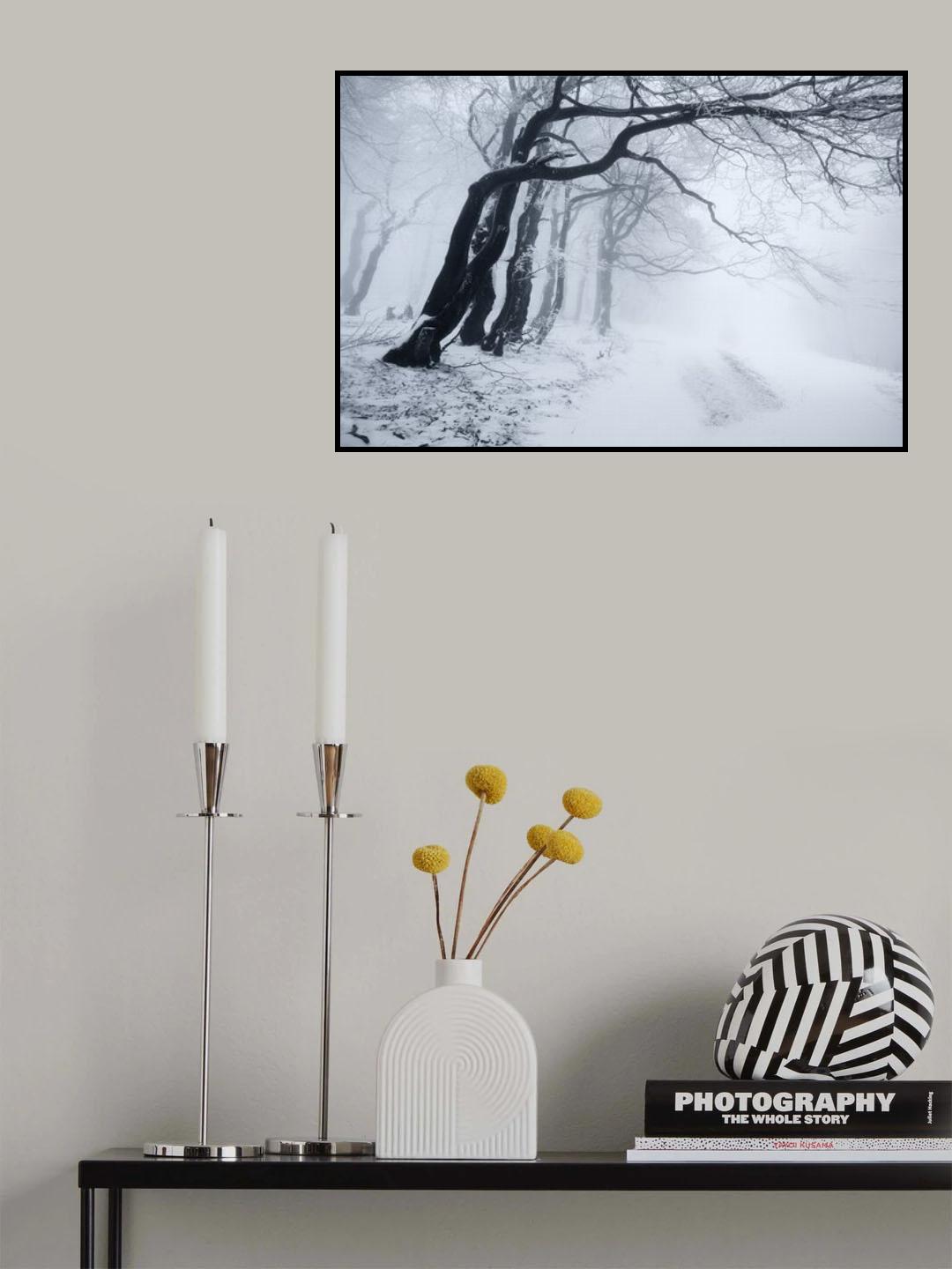 In the winter forest Poster och Canvastavla
