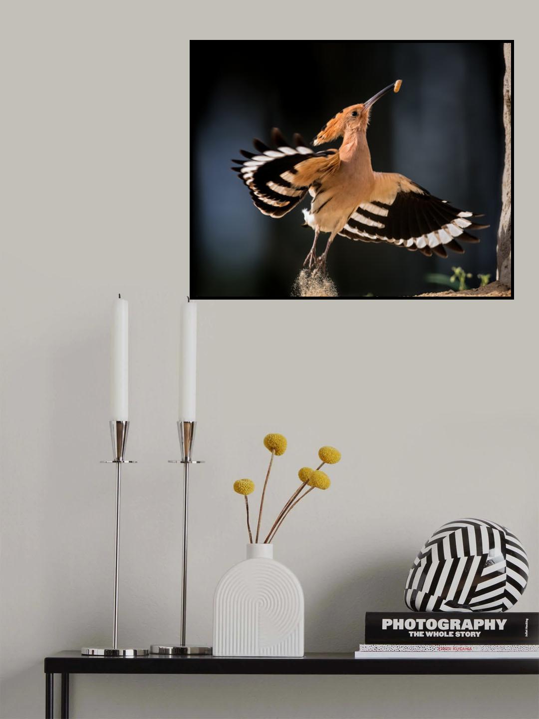 Taking off Poster och Canvastavla