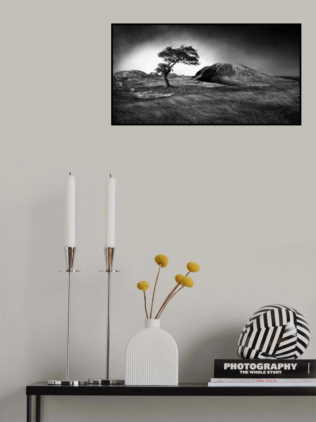 Winter is coming Poster och Canvastavla