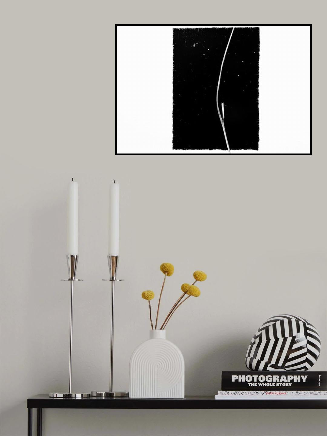 REBIRTH Poster och Canvastavla