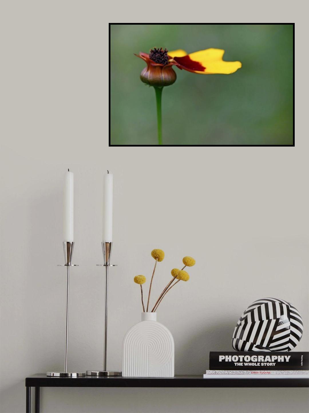 the last ones before winter ... Poster och Canvastavla