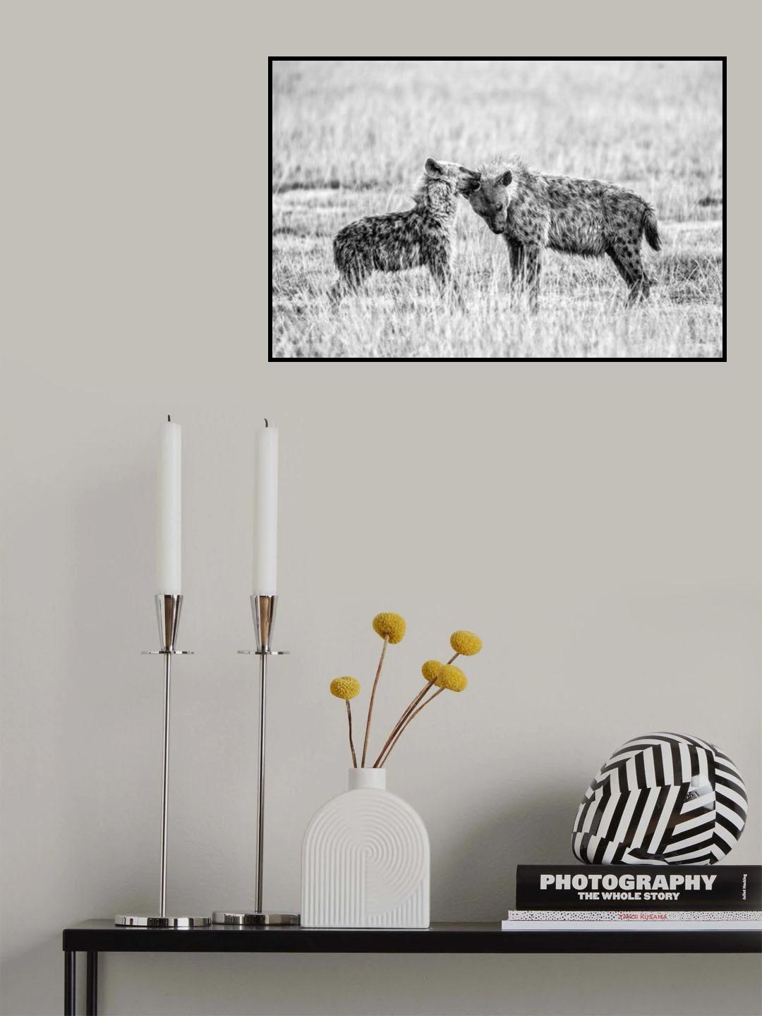Hyena I Poster och Canvastavla