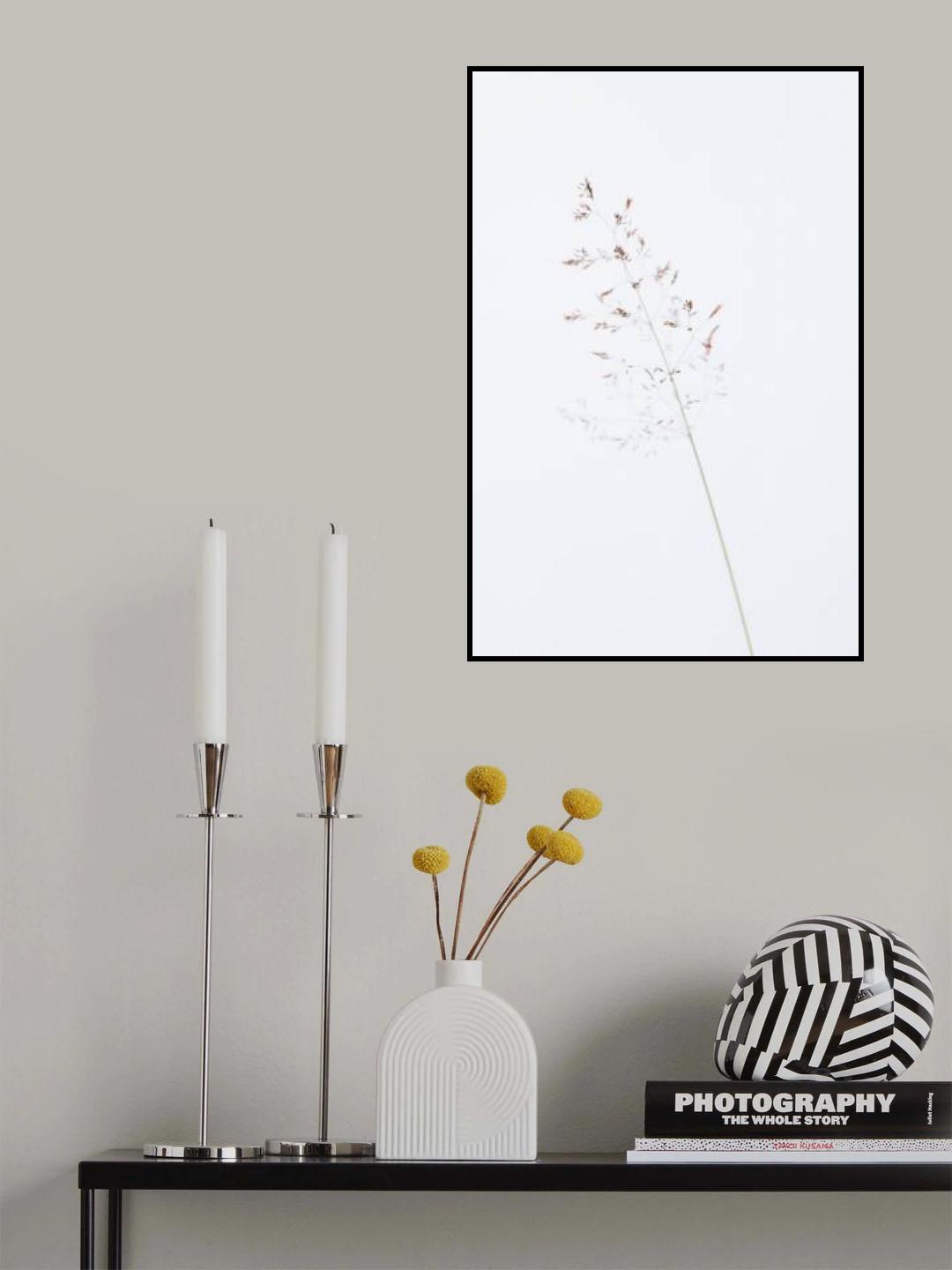 Single dried grass straw Poster och Canvastavla
