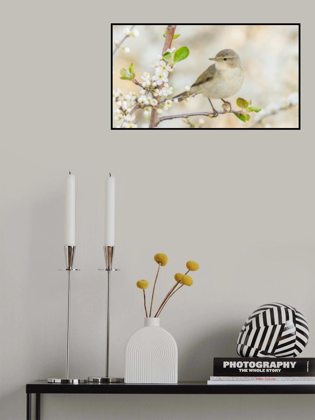 Poster och Canvastavla