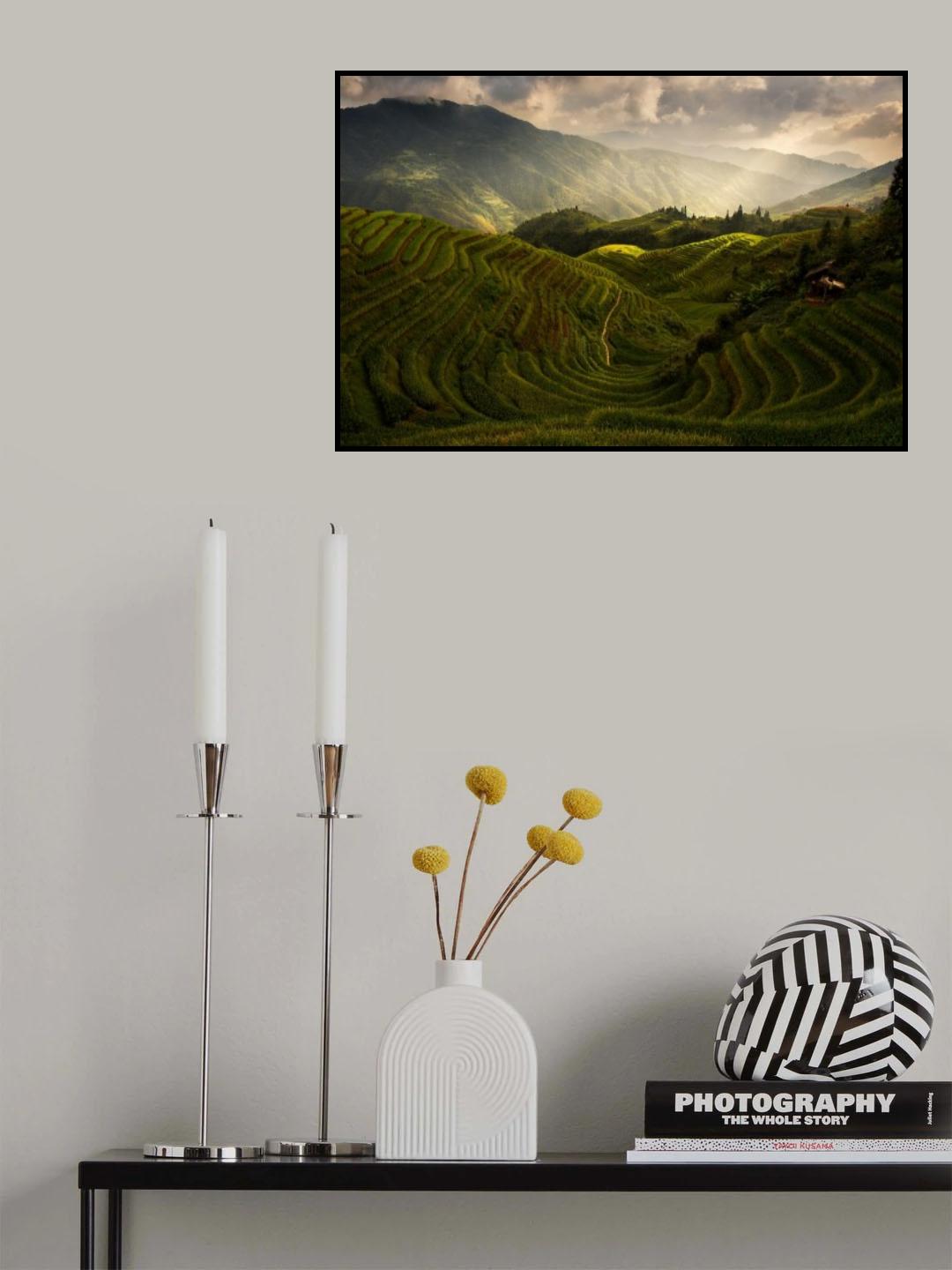 A Tuscan Feel in China Poster och Canvastavla