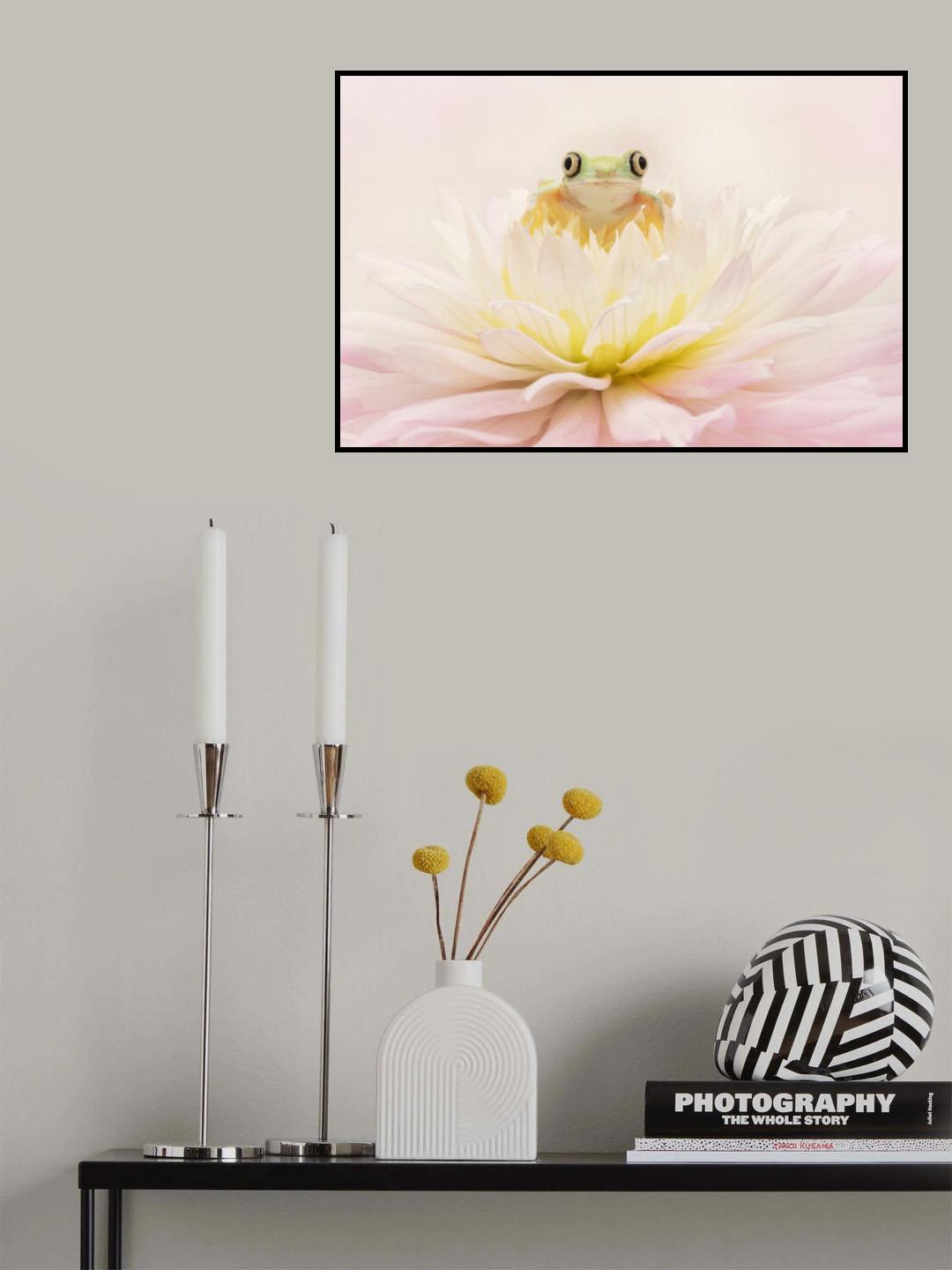 Lemur Tree Frog on a Pink Dahlia Poster och Canvastavla
